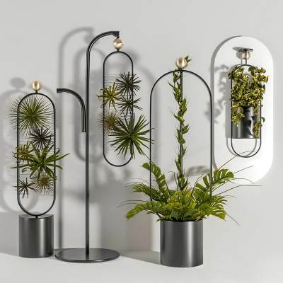 现代植物盆栽-05